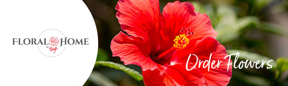Order flowers for delivery or pickup from Trig's Floral heree.